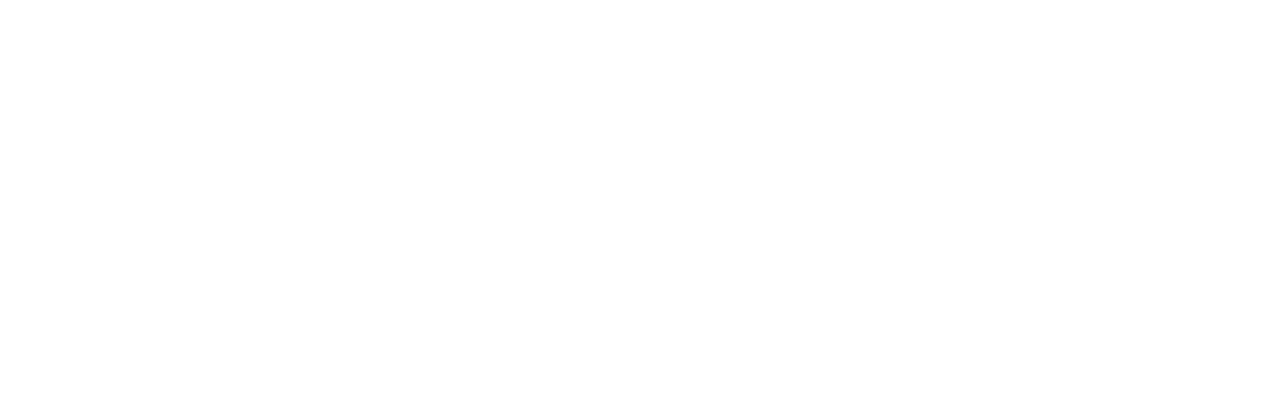 Ronix Studios logo